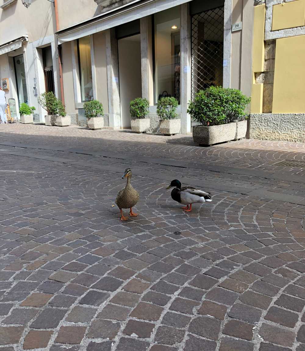 Albergo alle Porte - Drei-Sterne-Hotel in Riva del Garda Aktivität